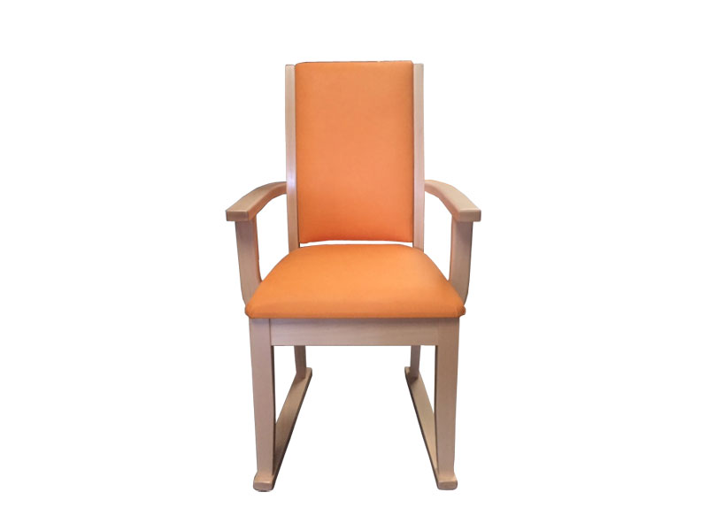 Lucan Dining Chair Main